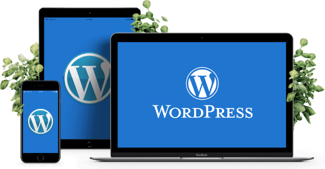 ما هو ووردبريس WordPress ؟ 