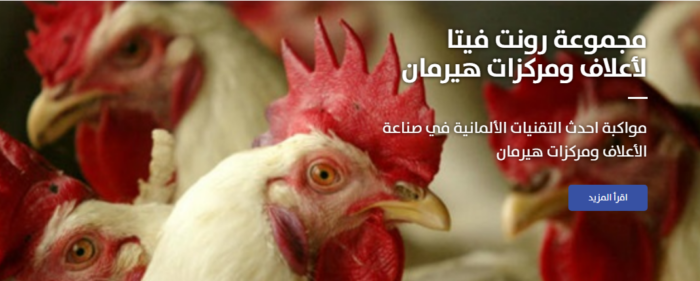 افضل اعلاف الدجاج فى مصر