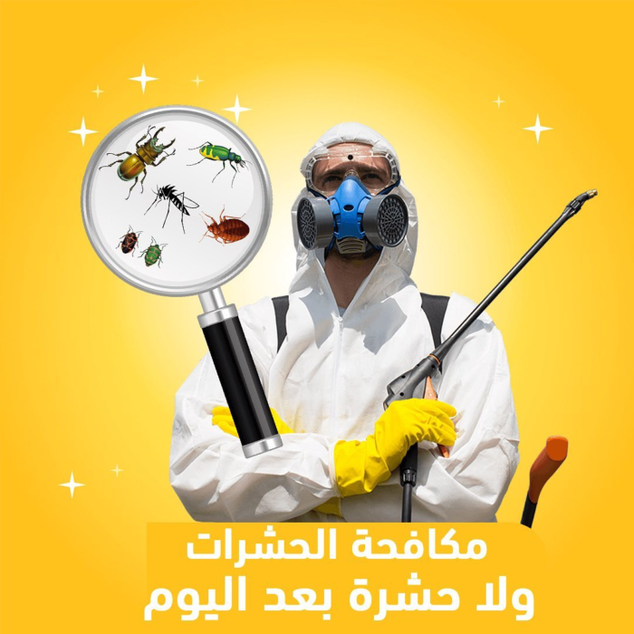 افضل شركة مكافحة حشرات في الشيخ زايد