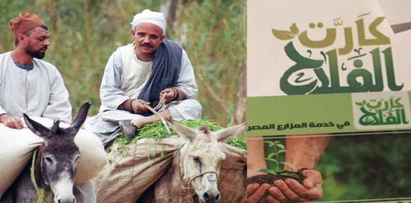رابط الإستعلام عن كارت الفلاح 2022