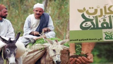 رابط الإستعلام عن كارت الفلاح 2022