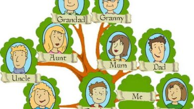 أفضل 3 تطبيقات لعمل شجرة العائلة