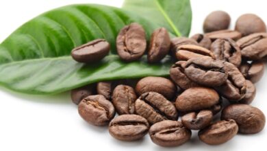 افضل انواع ظروف القهوه في الامارات