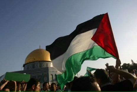 تبرع لأهالي غزة مع التحالف الوطني المصري